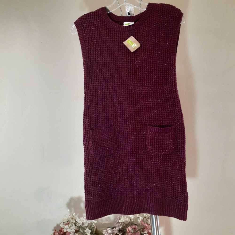 NWT Crazy 8 Sparkle Sweater Dress | Holidays